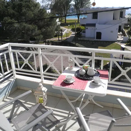 Nestor * Торони